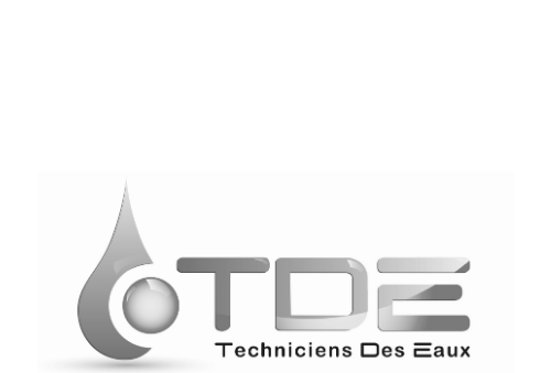 Logo TDE final